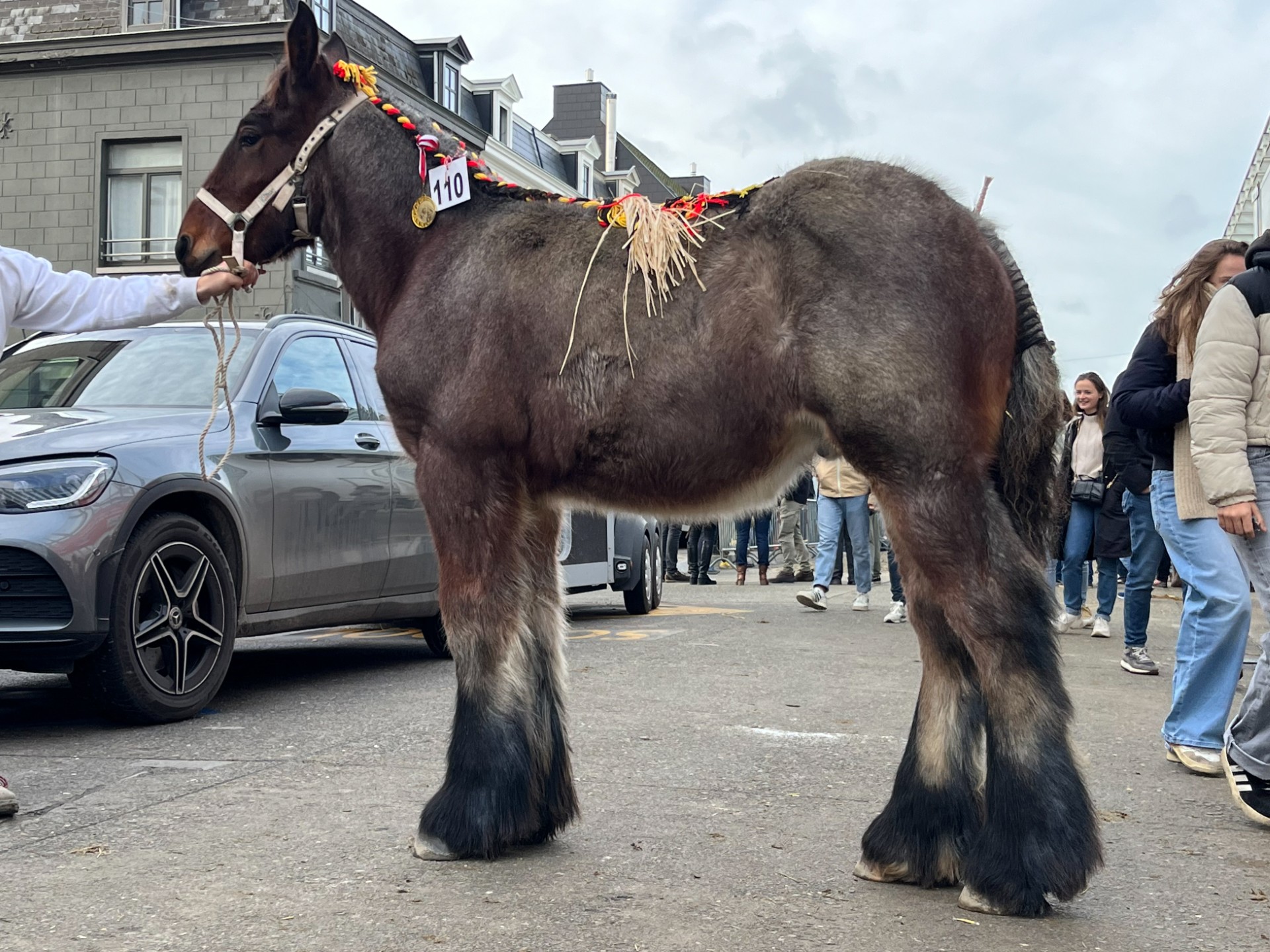 Succes in Sint-Lievens-Houtem