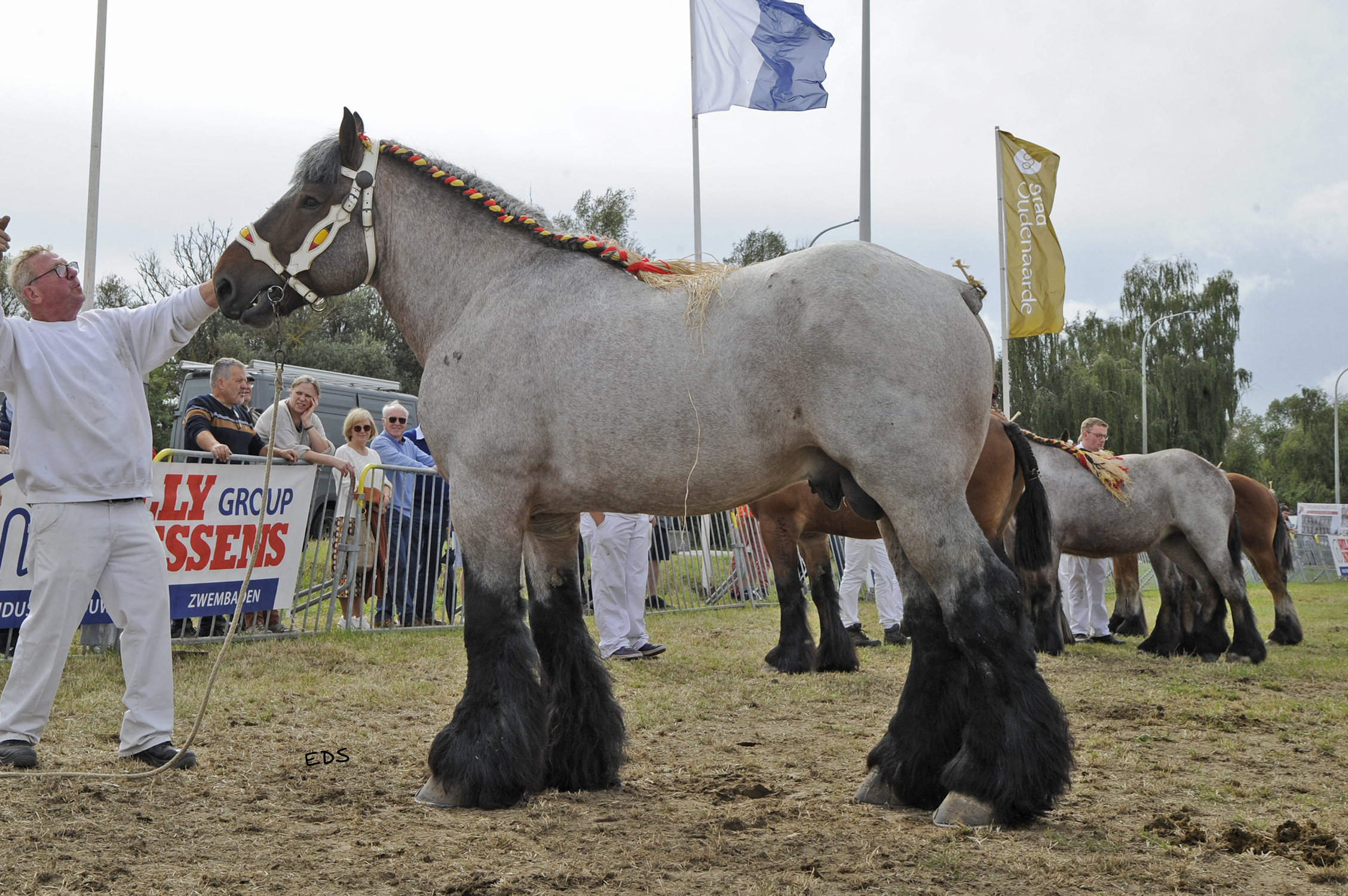 Zomer, een seizoen vol prijskampen en mooie resultaten