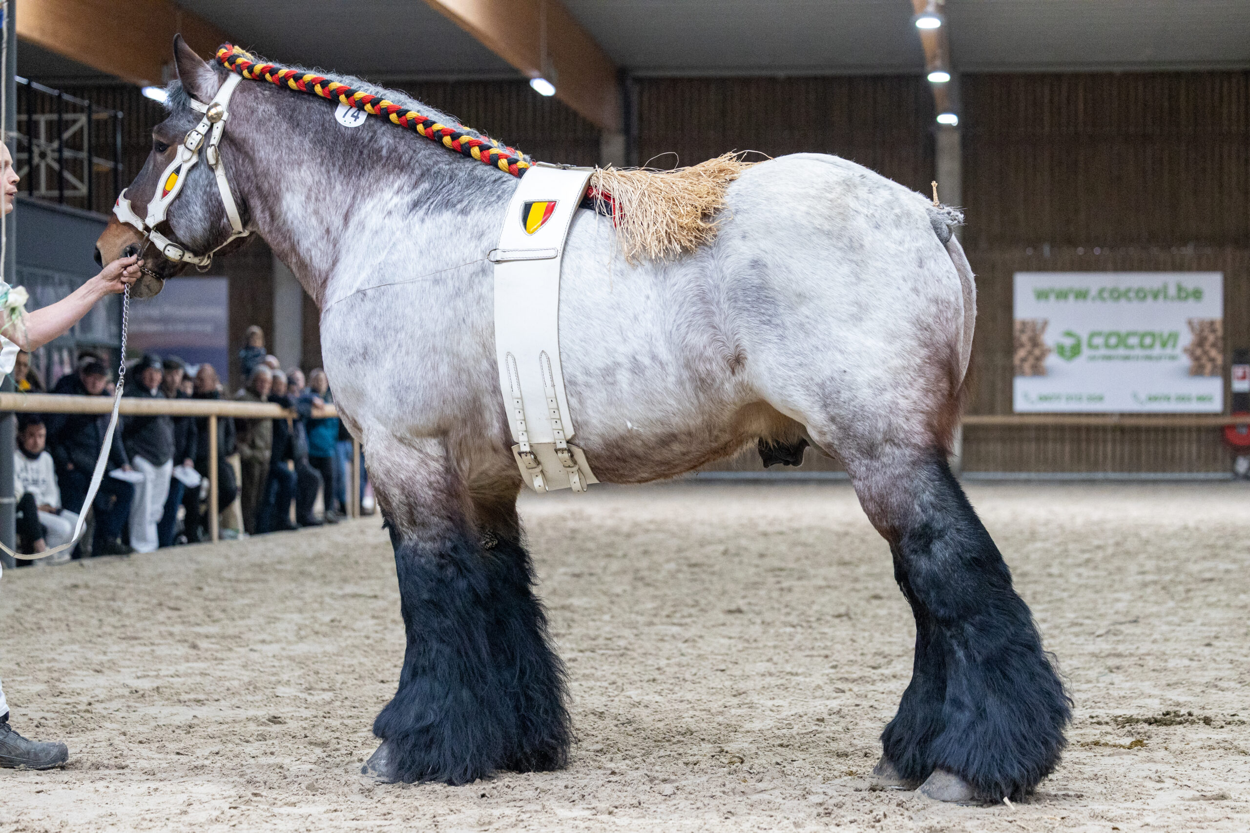 Premier derde op tal!